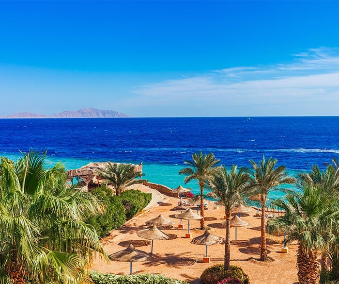 flights to sharm el sheikh from amman